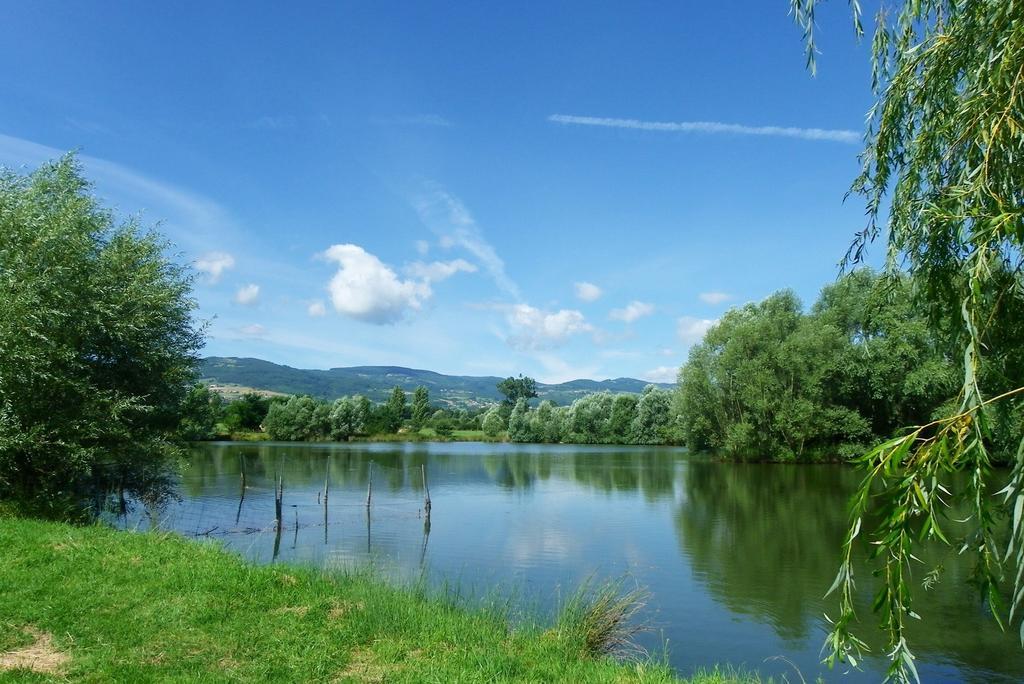 Domaine D'Aromm - Chambres D'Hotes & Gites - Piscine, Etangs & Animaux - Au Calme Ouches Dış mekan fotoğraf